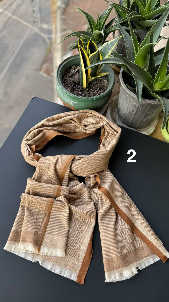 photo_2_2025-10-10_15-16-38