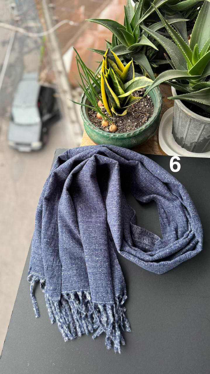 photo_2_2025-10-24_16-01-48