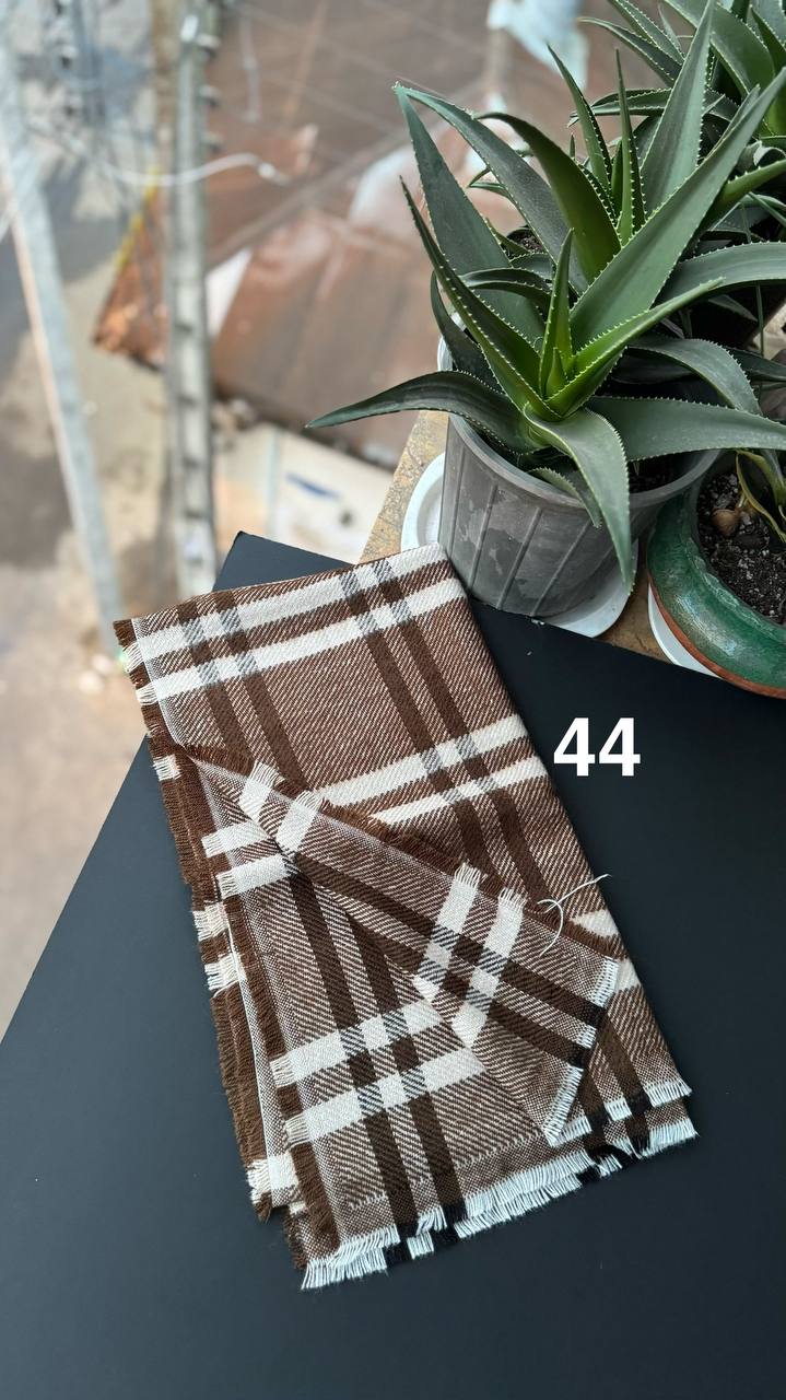 photo_2_2025-12-12_12-16-07