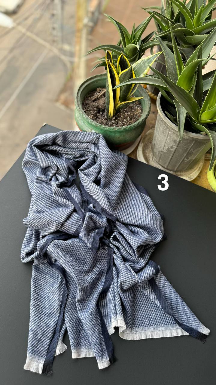 photo_3_2025-10-10_14-56-35