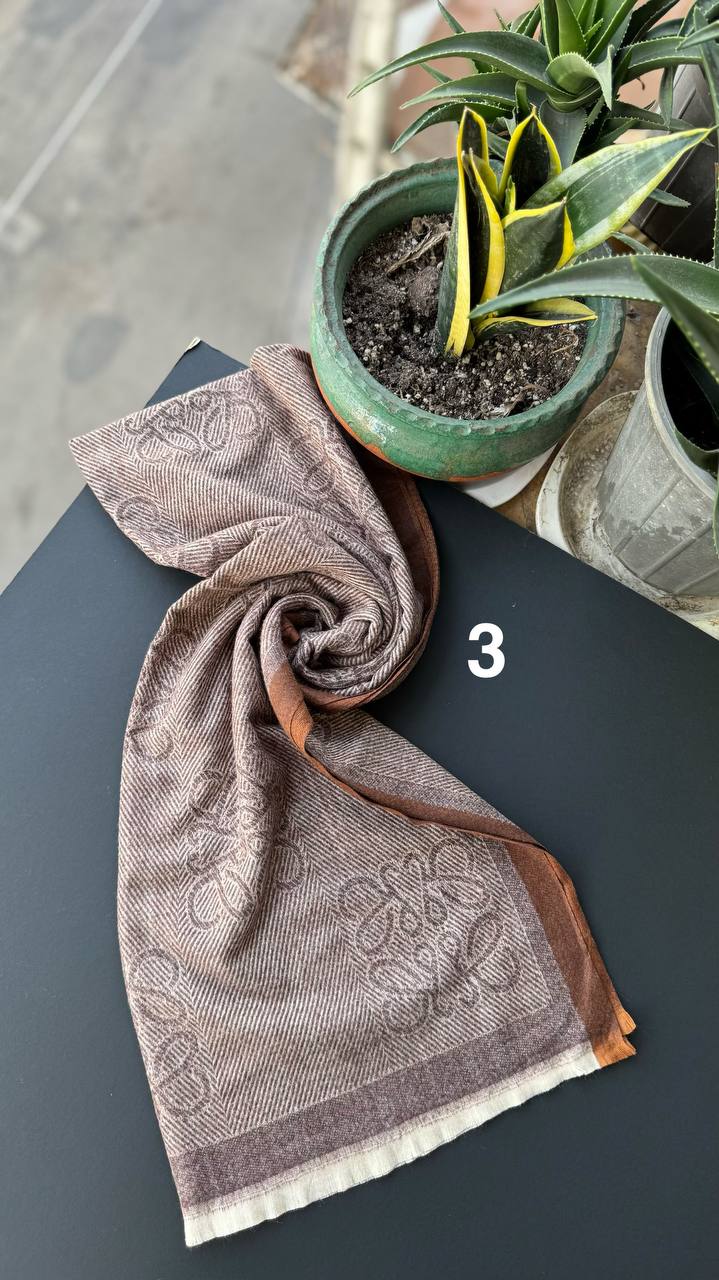 photo_3_2025-10-10_15-16-38