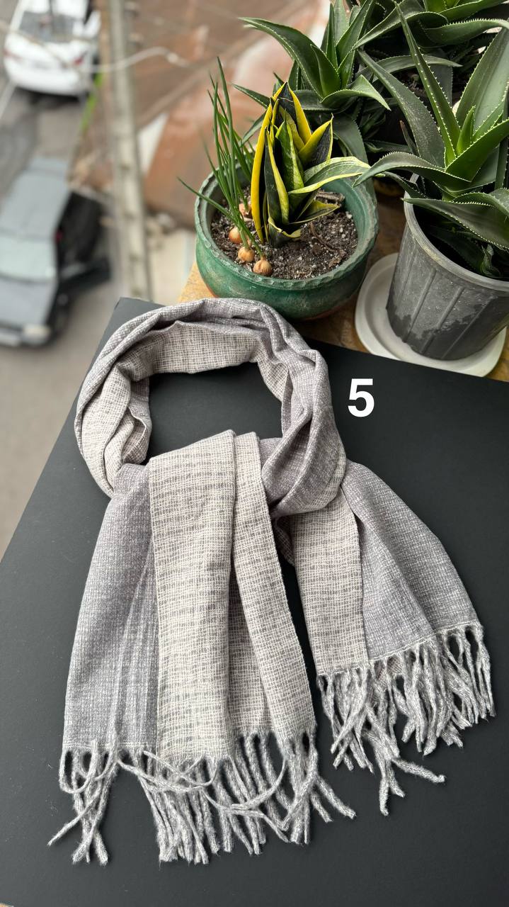 photo_3_2025-10-24_16-01-48