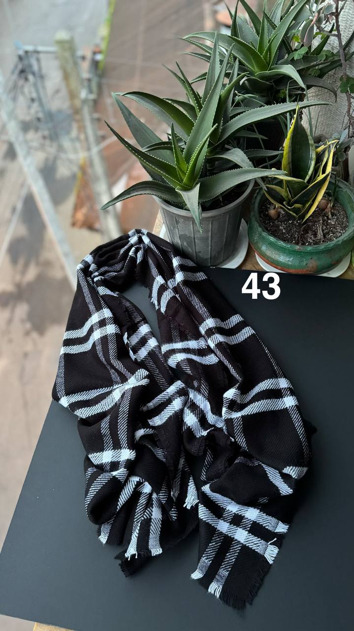 photo_3_2025-12-12_12-16-07