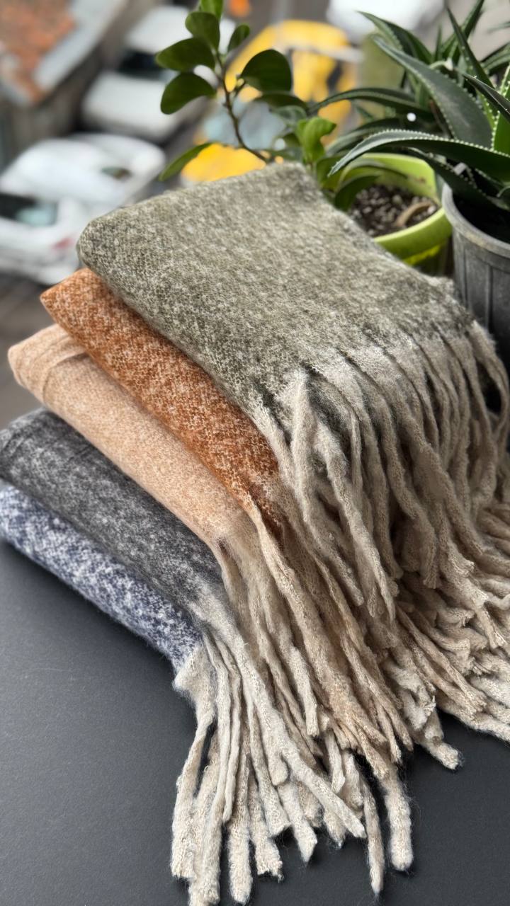 photo_4_2025-10-03_13-14-04