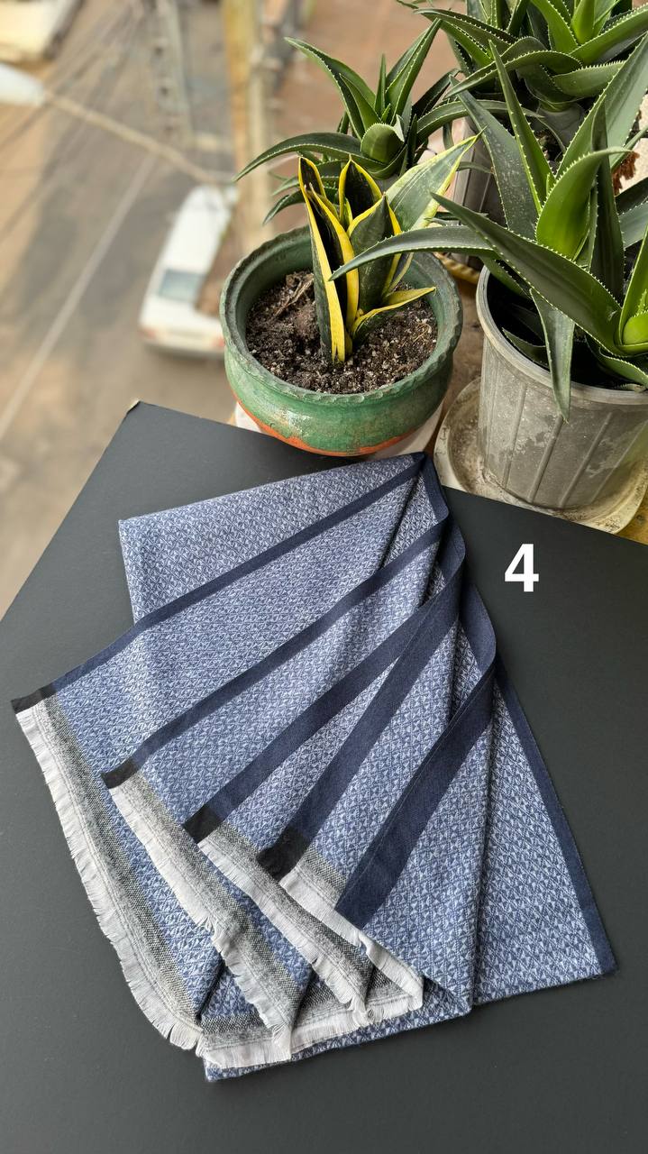 photo_4_2025-10-10_13-56-34