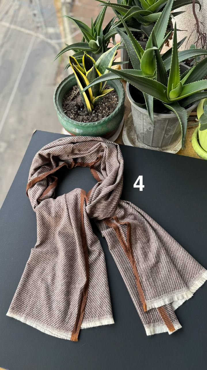 photo_4_2025-10-10_14-56-35