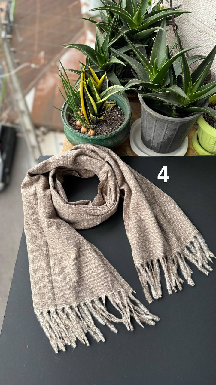 photo_4_2025-10-24_16-01-48