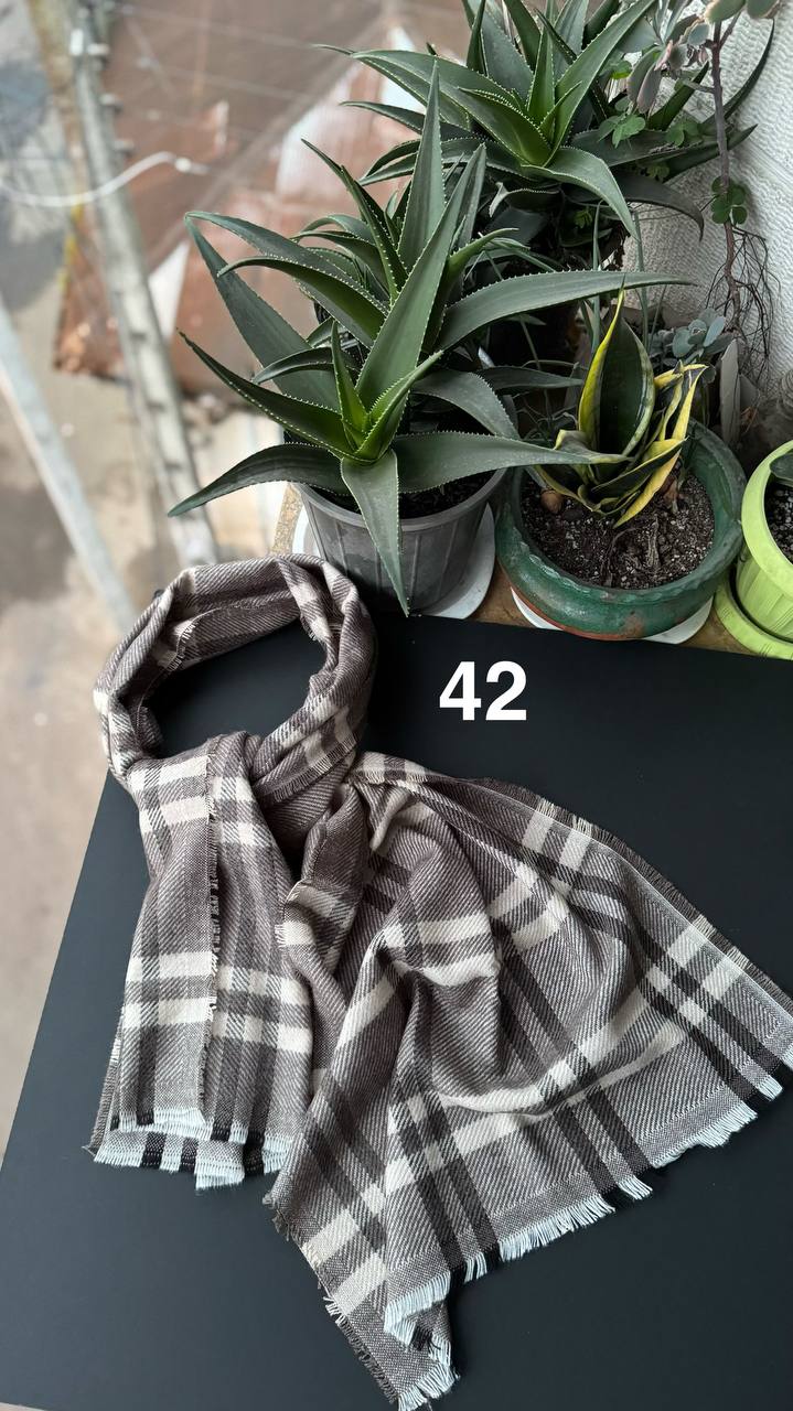 photo_4_2025-12-12_12-16-07