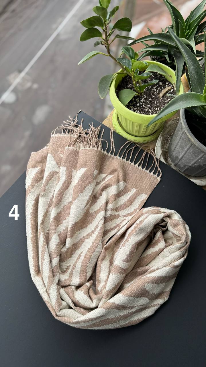 photo_5_2025-10-03_12-39-29