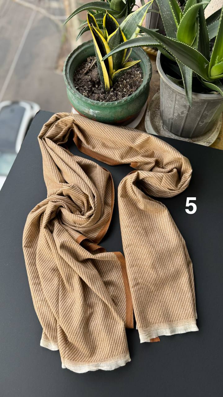 photo_5_2025-10-10_14-56-35