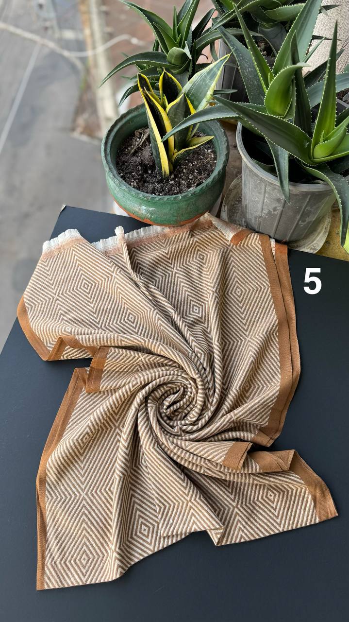 photo_5_2025-10-10_15-25-17