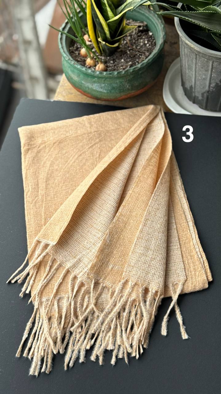 photo_5_2025-10-24_16-01-48