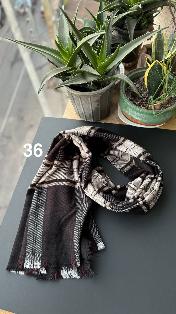 photo_5_2025-11-24_07-02-41