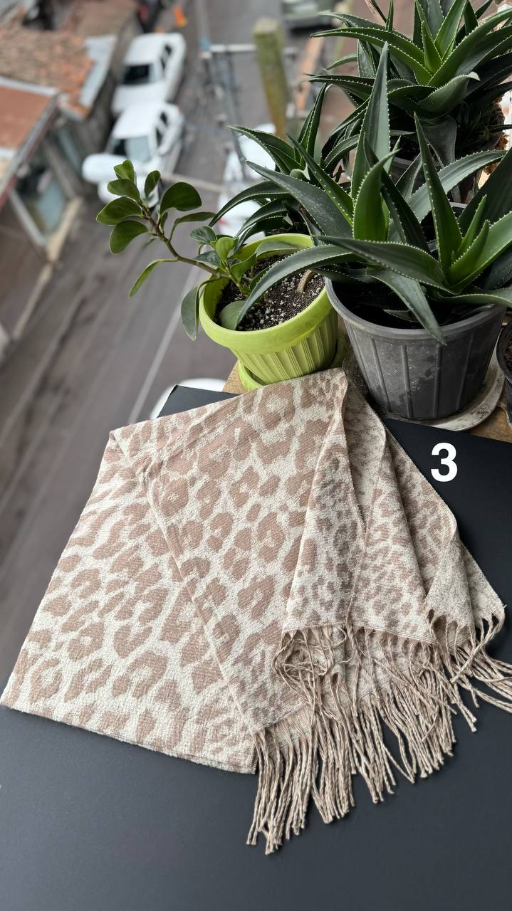 photo_6_2025-10-03_12-39-29