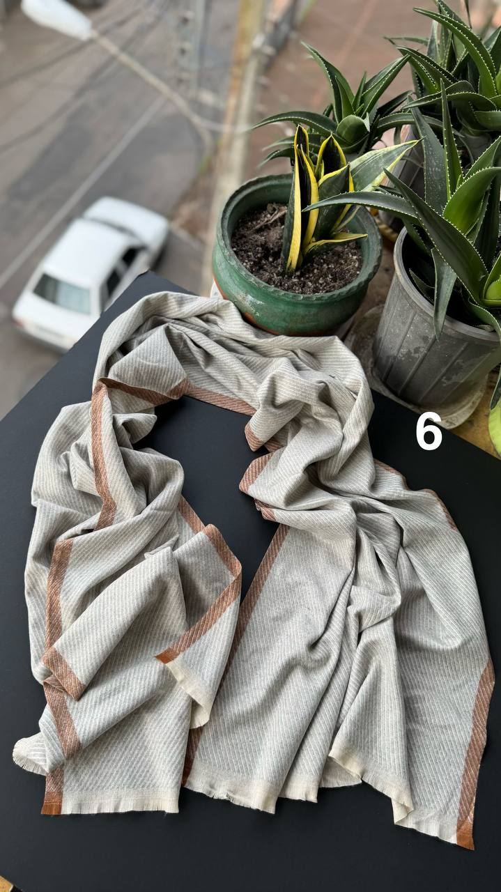 photo_6_2025-10-10_14-56-35