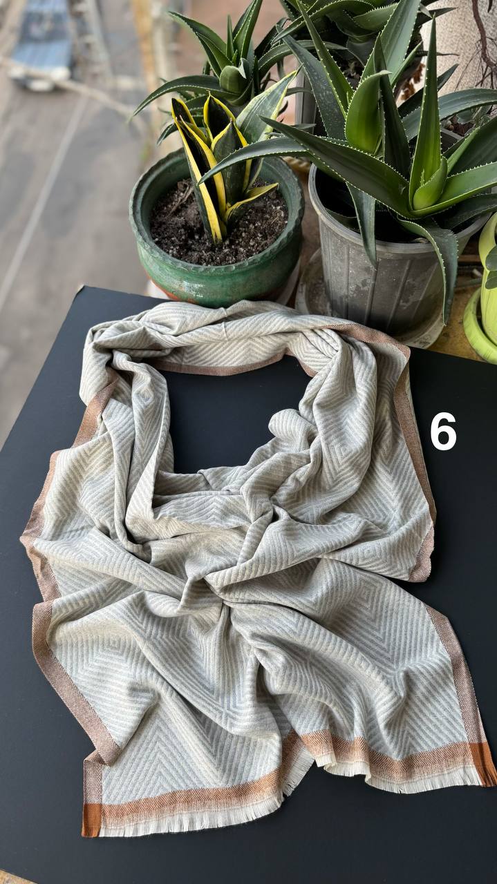 photo_6_2025-10-10_15-25-17