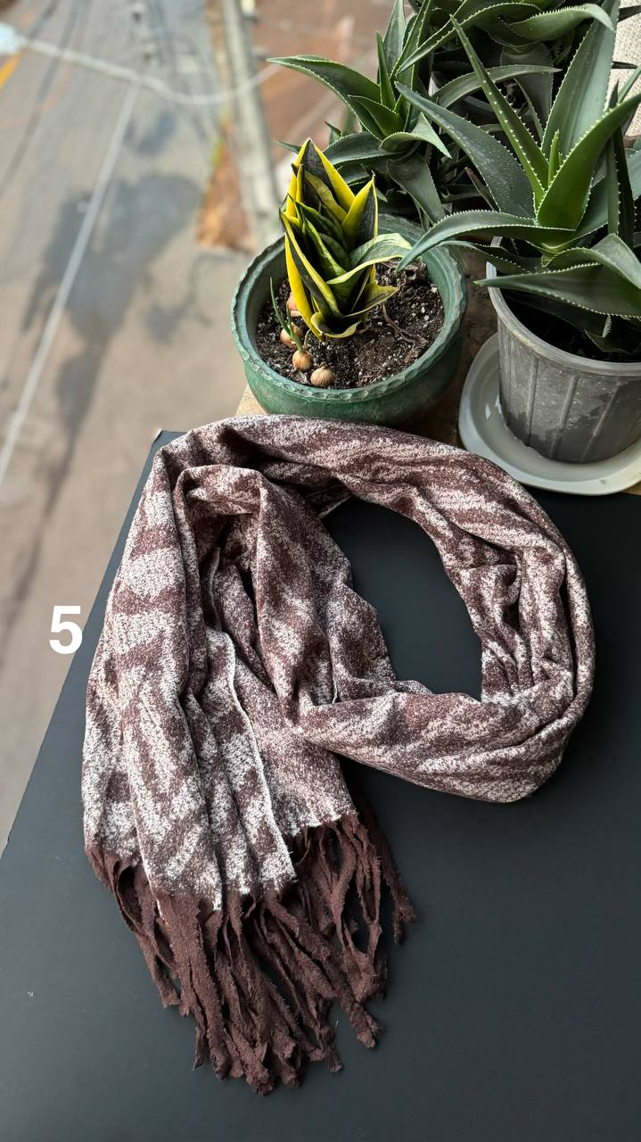 photo_6_2025-10-17_19-28-19