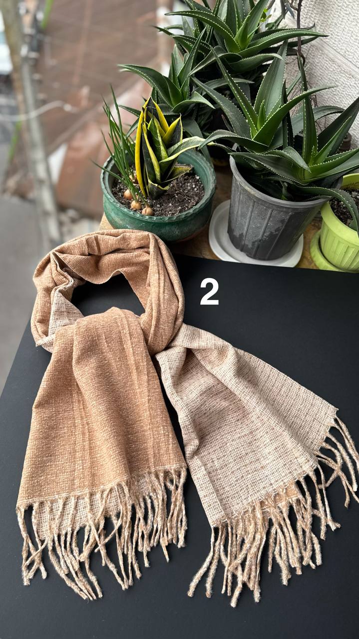 photo_6_2025-10-24_16-01-48