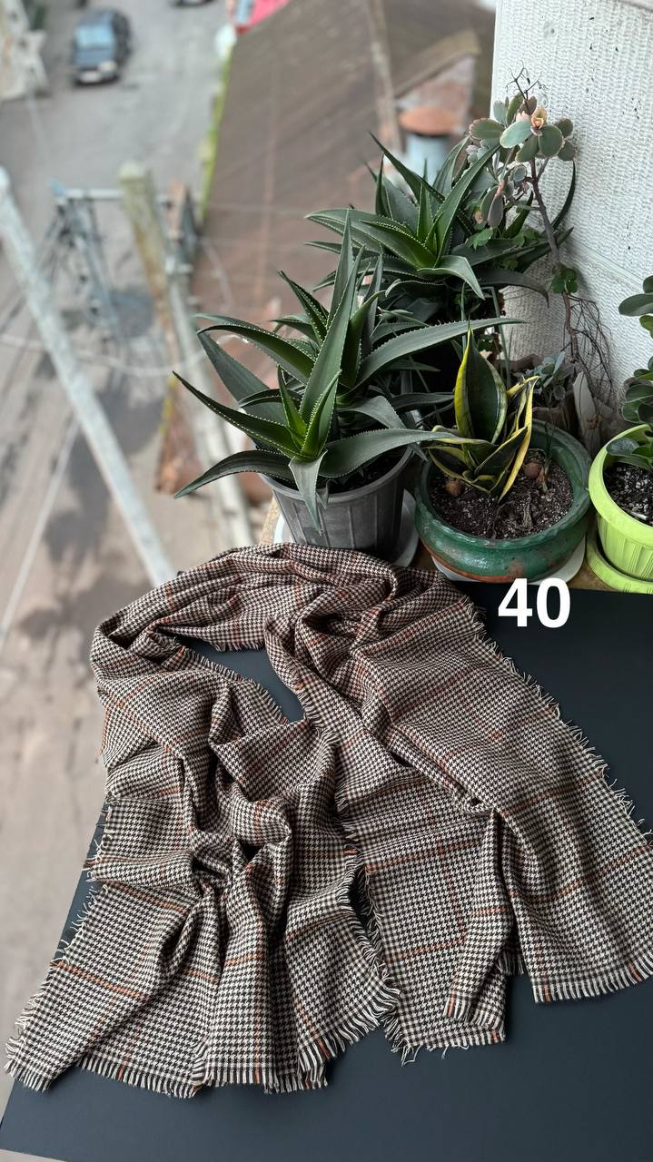 photo_6_2025-12-12_12-16-07