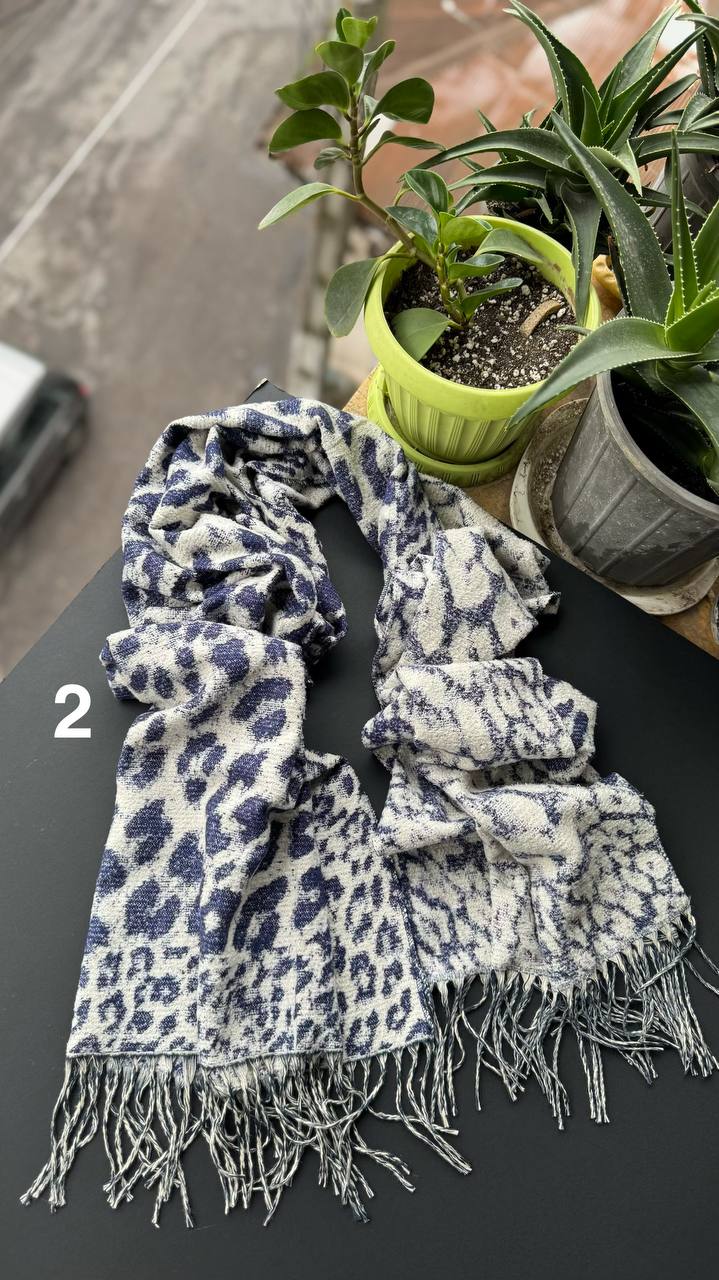 photo_7_2025-10-03_12-43-16