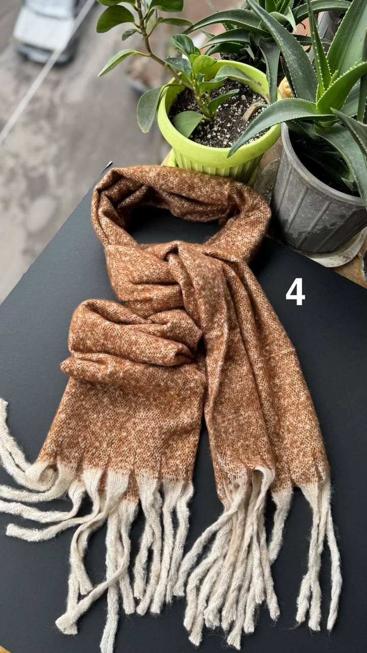 photo_7_2025-10-03_13-14-04