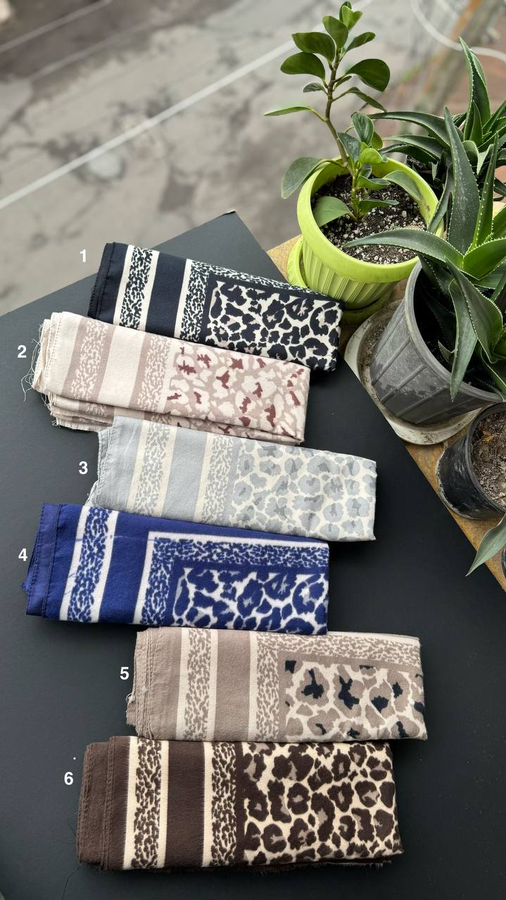 photo_7_2025-10-03_15-23-36