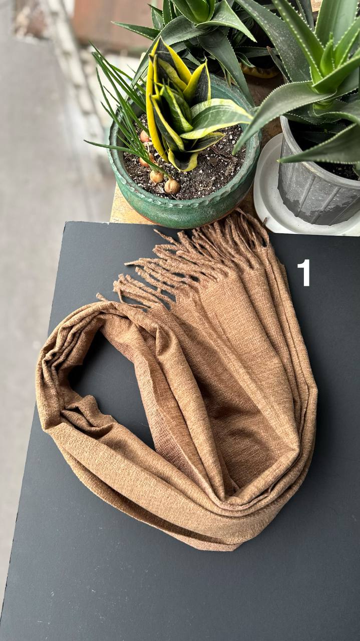 photo_7_2025-10-24_16-01-48