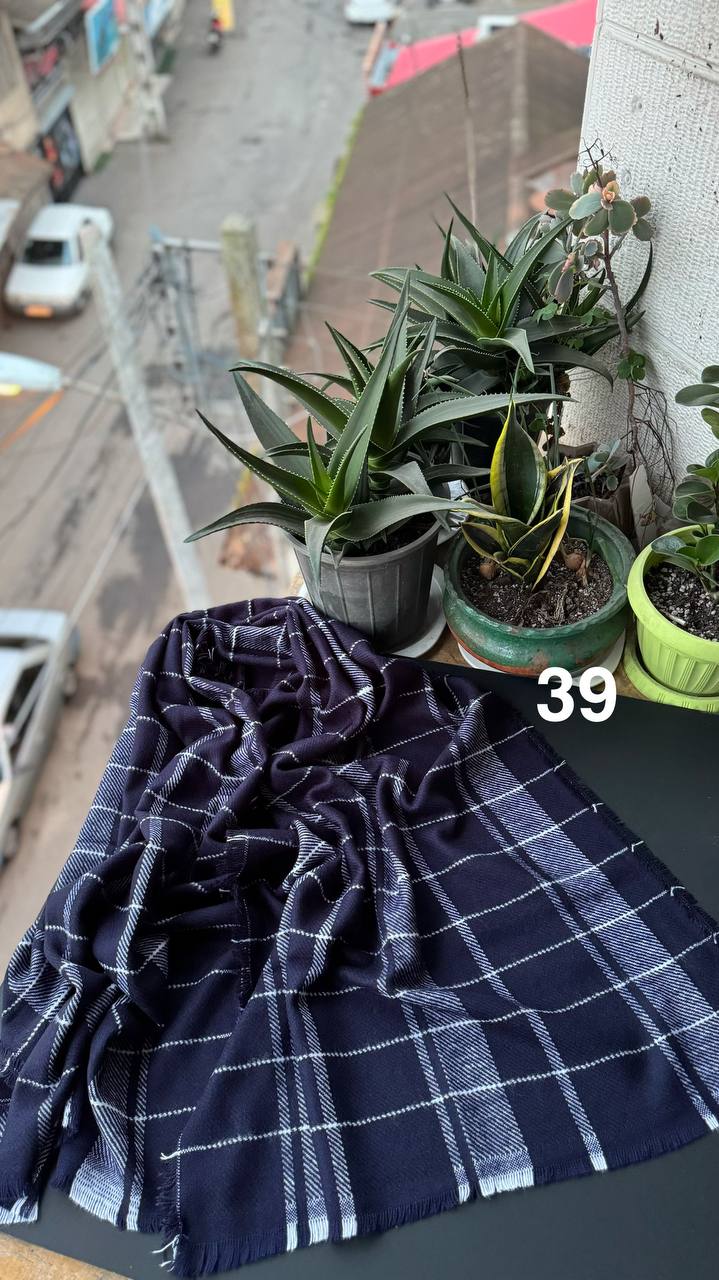 photo_7_2025-12-12_12-16-07