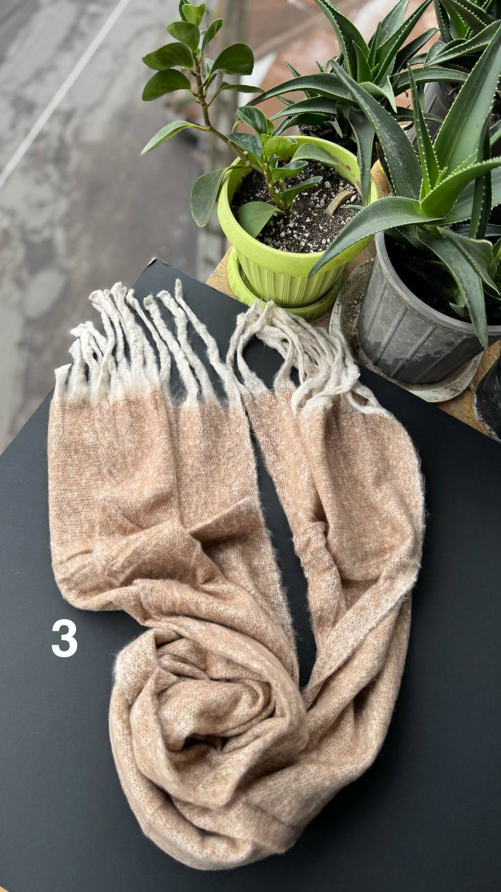 photo_8_2025-10-03_13-14-04