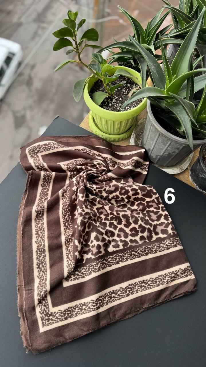 photo_8_2025-10-03_15-23-36