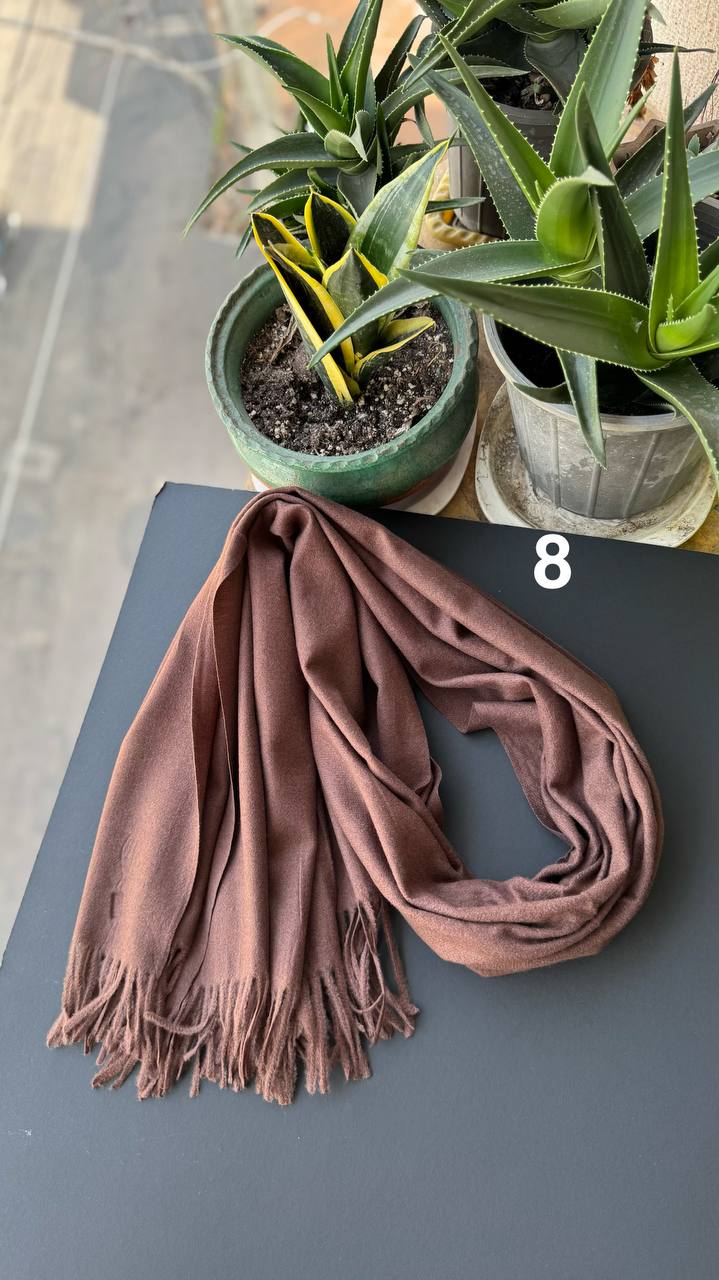 photo_8_2025-10-10_10-09-37