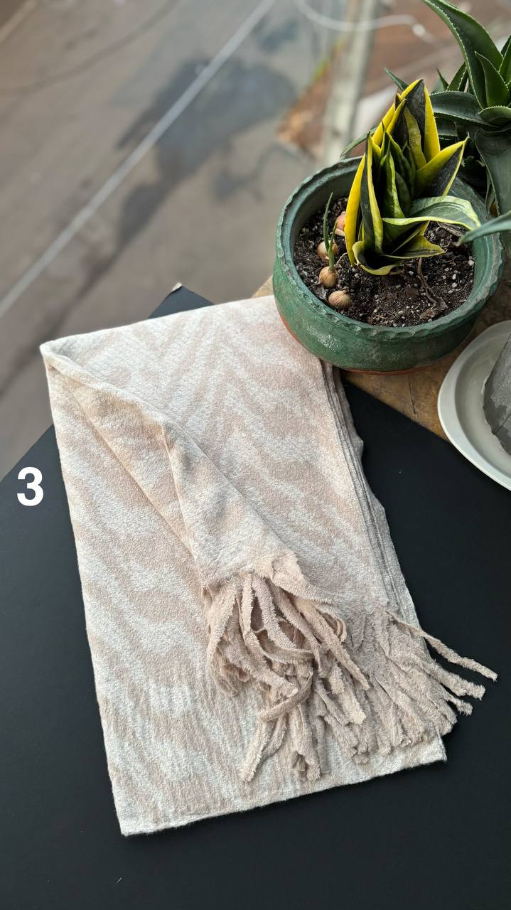 photo_8_2025-10-17_19-28-19