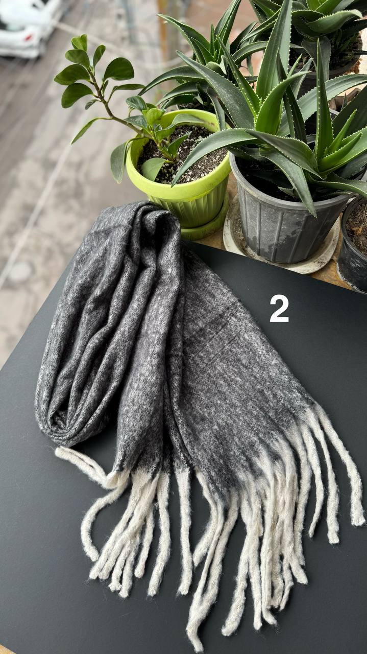 photo_9_2025-10-03_13-14-04