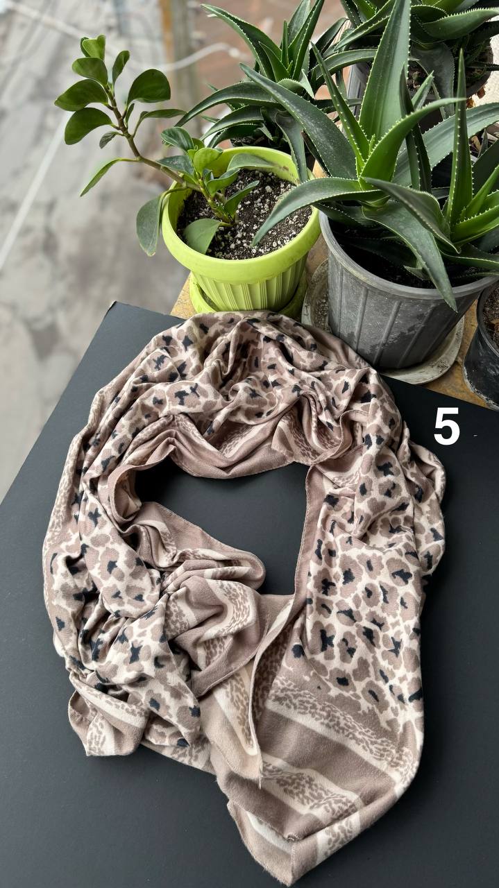 photo_9_2025-10-03_15-23-36