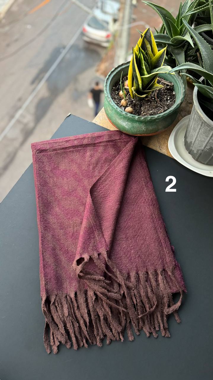 photo_9_2025-10-17_19-28-19