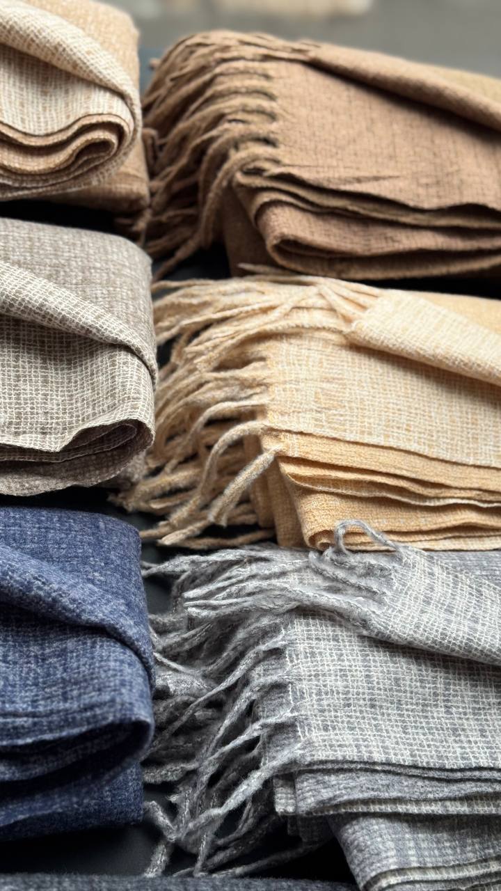 photo_9_2025-10-24_16-01-48