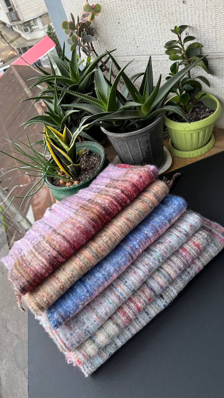 photo_10_2025-11-01_13-50-43