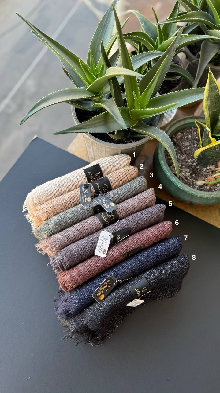 photo_10_2025-11-07_15-21-19