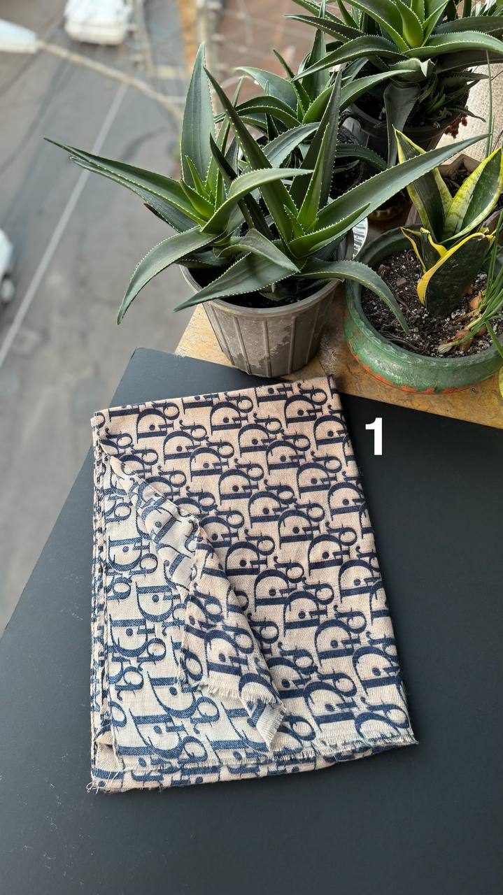 photo_10_2025-11-10_02-46-49