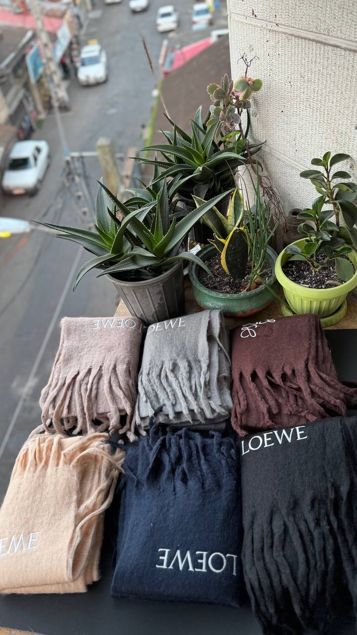 photo_10_2025-11-13_17-38-23