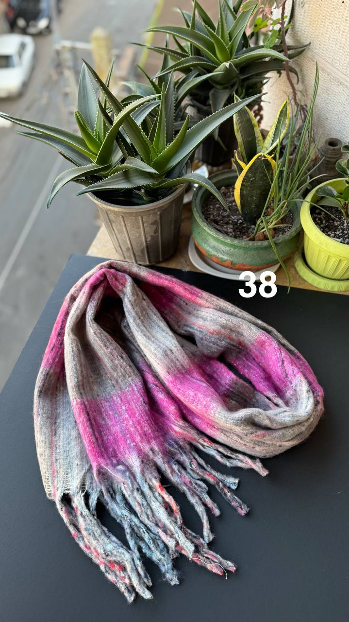 photo_10_2025-11-19_16-44-23