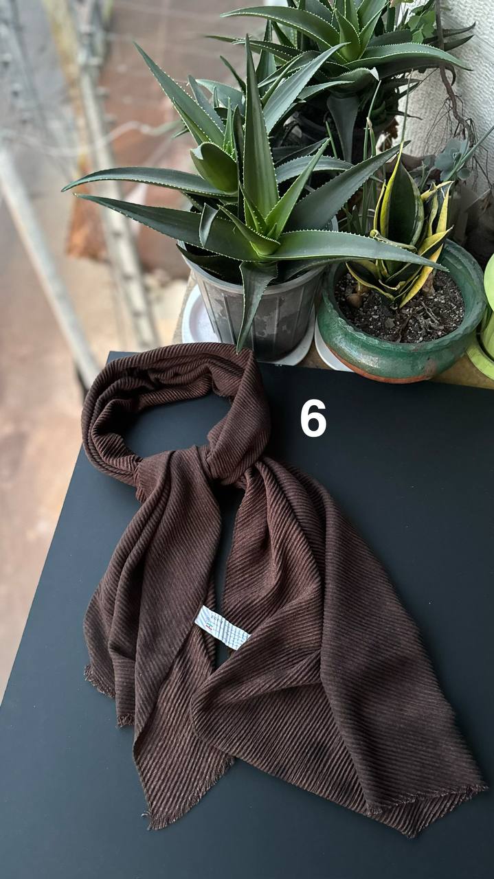 photo_10_2025-11-25_06-51-36