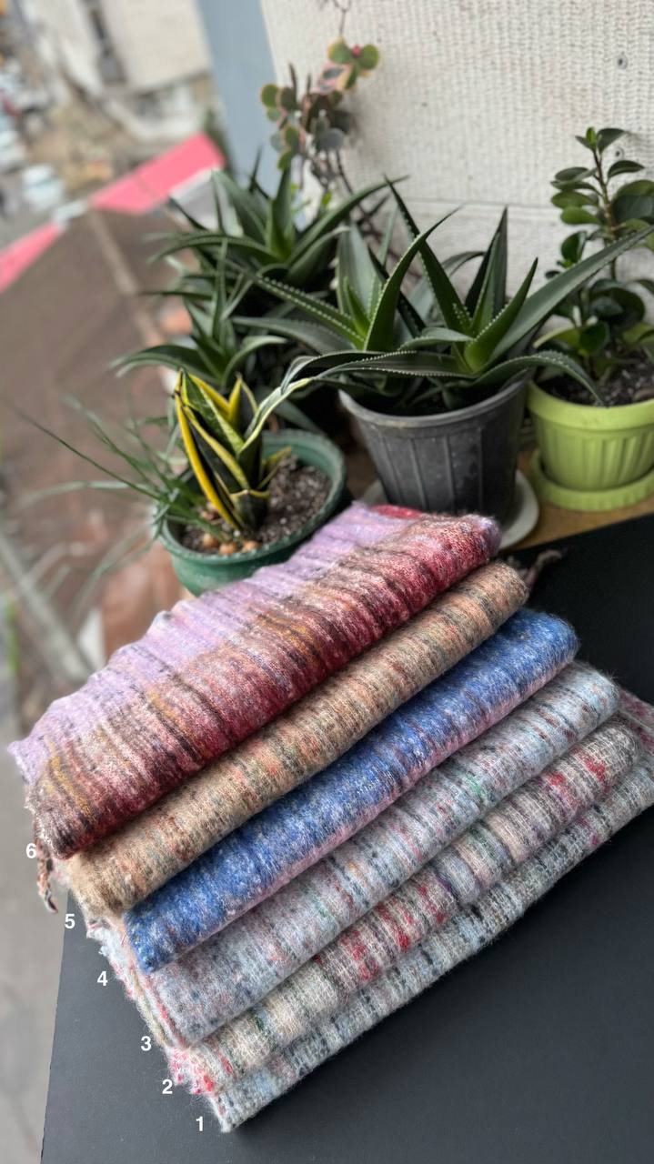 photo_11_2025-11-01_13-50-43