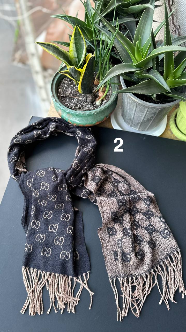 photo_11_2025-11-06_14-08-40