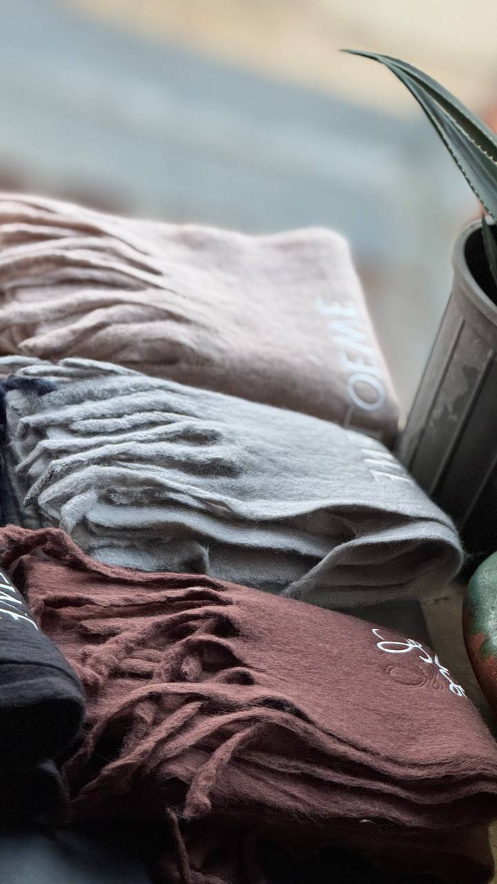 photo_11_2025-11-13_17-38-23