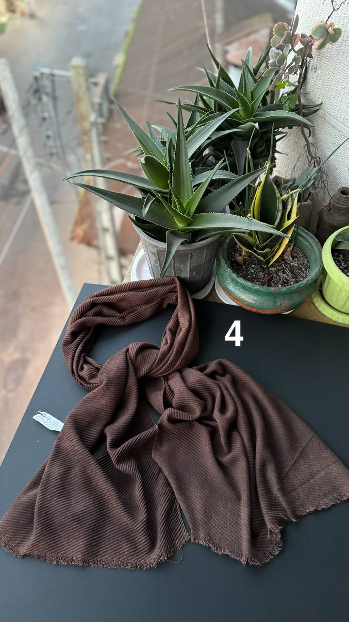 photo_11_2025-11-25_06-51-36