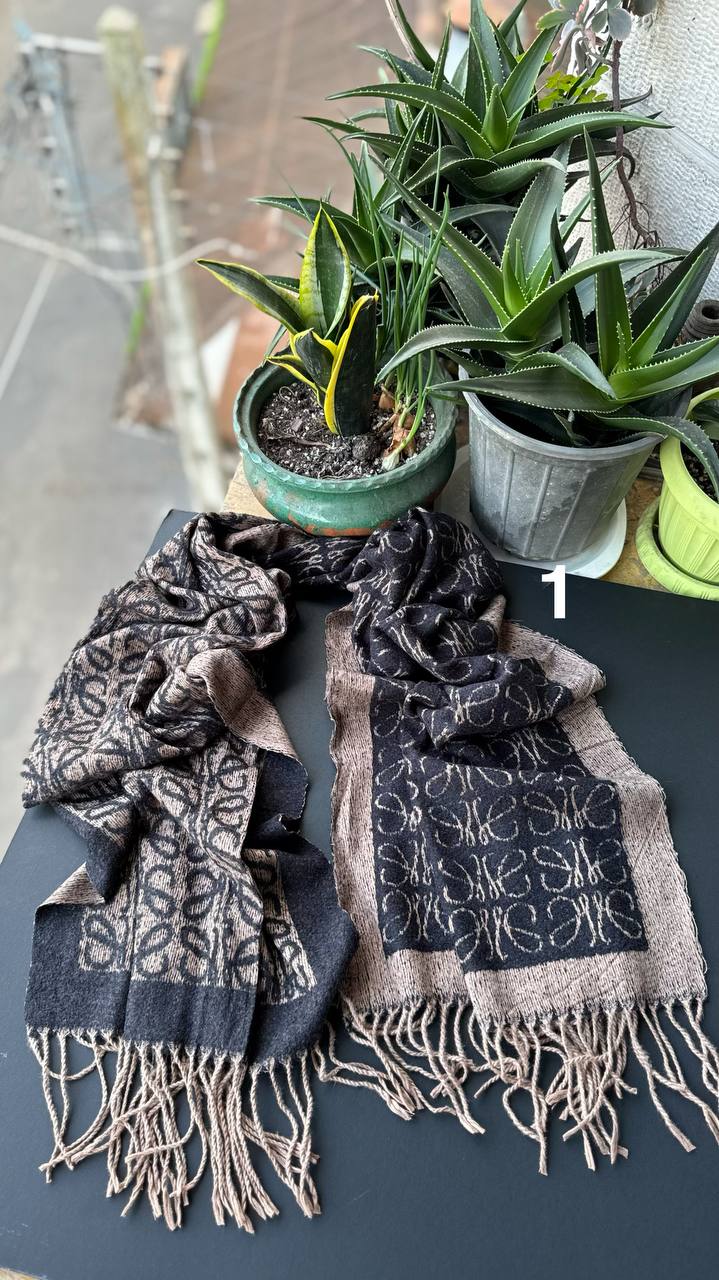 photo_12_2025-11-06_14-08-40