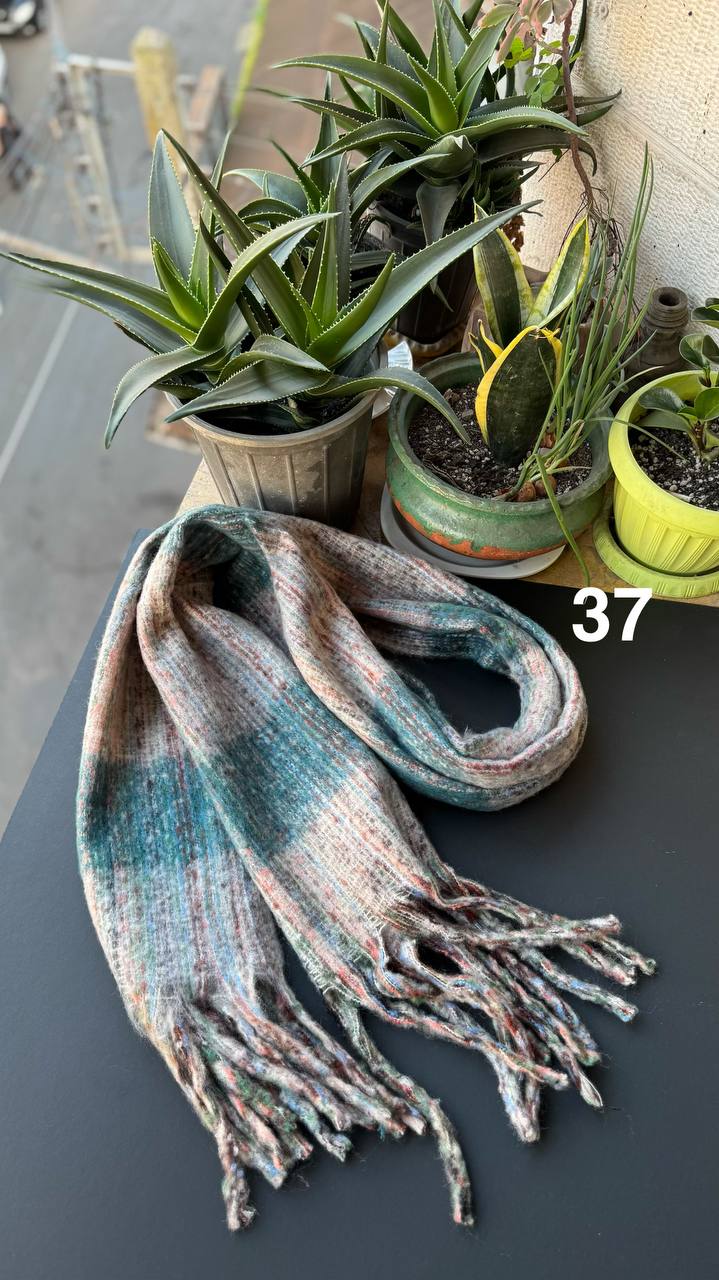 photo_12_2025-11-19_16-44-23