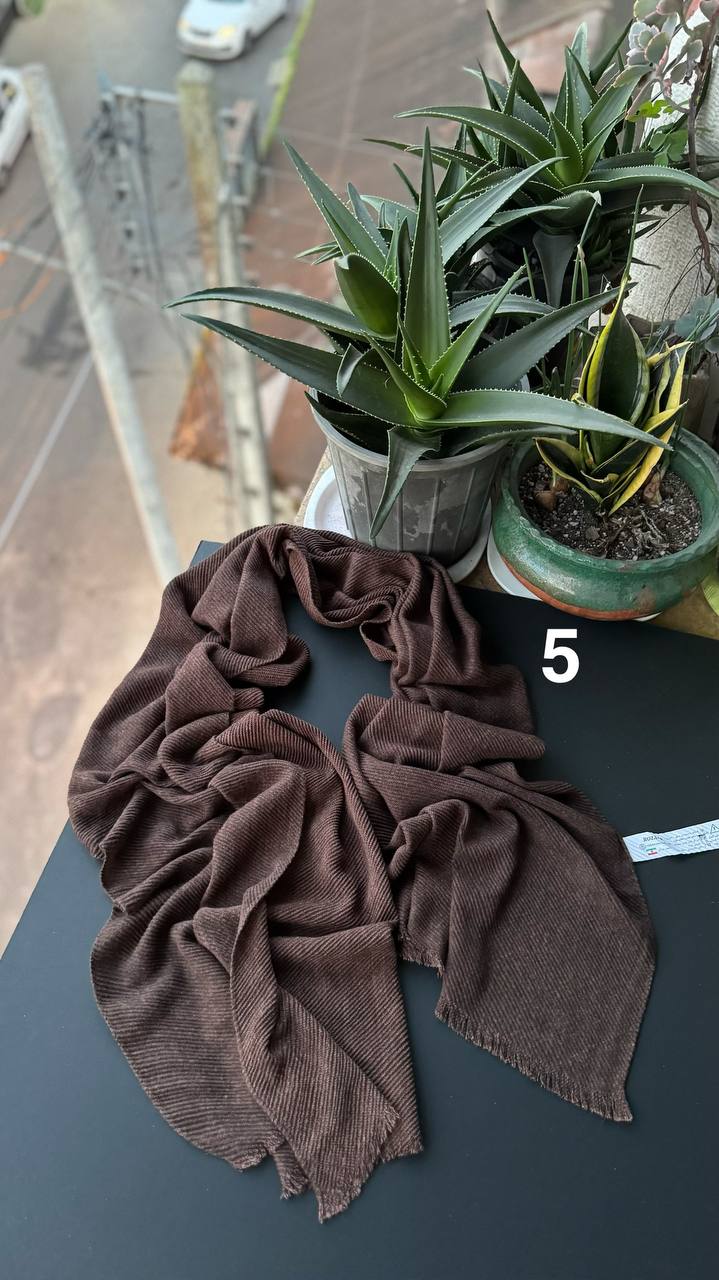 photo_12_2025-11-25_06-51-36