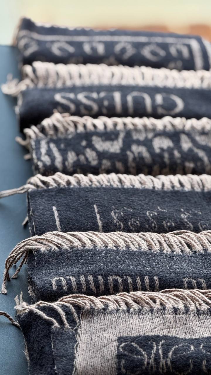 photo_13_2025-11-06_14-08-40